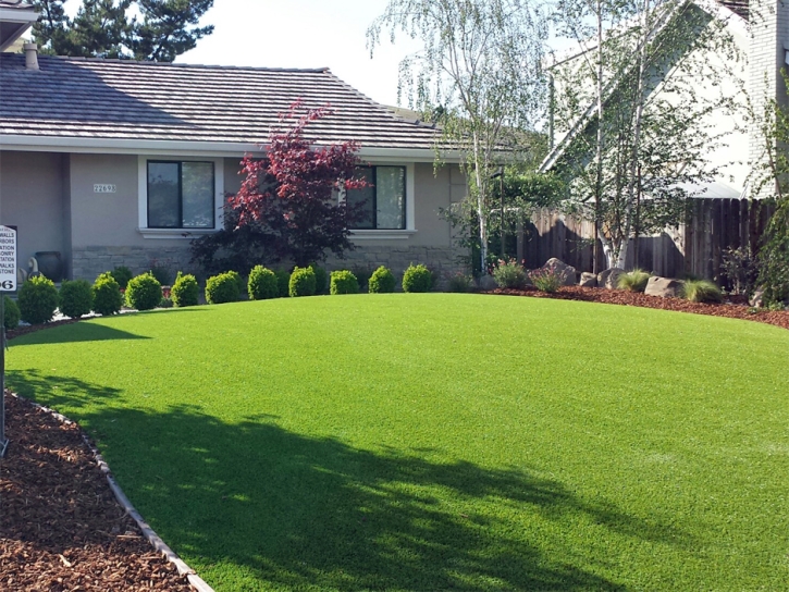 Artificial Turf Hawaiian Gardens, California Backyard Playground, Front Yard Landscaping