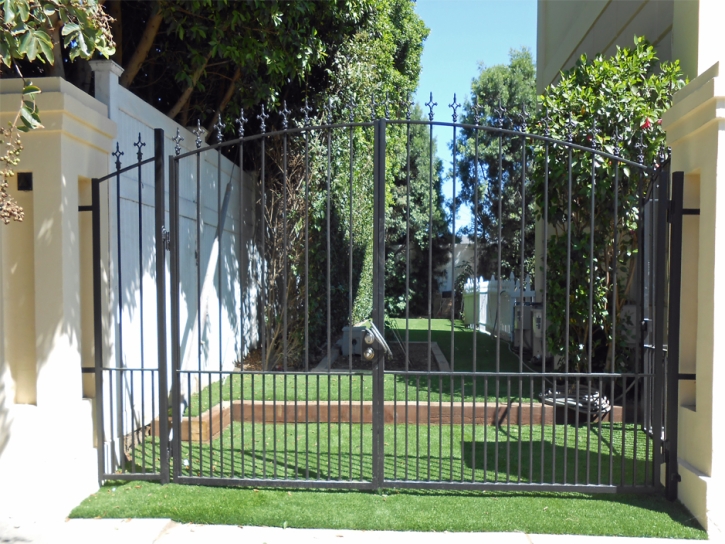 Artificial Turf Installation Highgrove, California Landscape Photos, Small Front Yard Landscaping