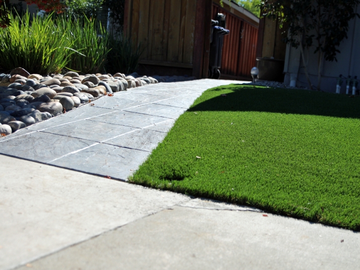 Artificial Turf Ladera Heights, California Lawn And Garden, Front Yard Landscaping