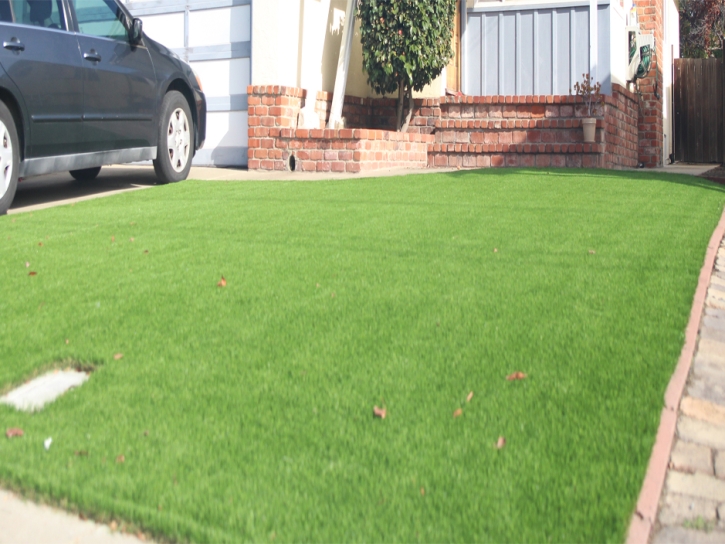 Artificial Turf Laguna Woods, California City Landscape, Small Front Yard Landscaping