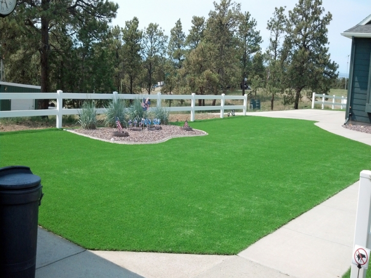 Artificial Turf Manhattan Beach, California Landscaping Business, Front Yard Design