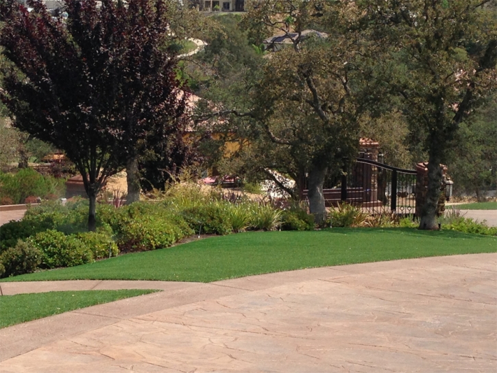 Artificial Turf Pine Flat, California Backyard Playground, Backyard Garden Ideas