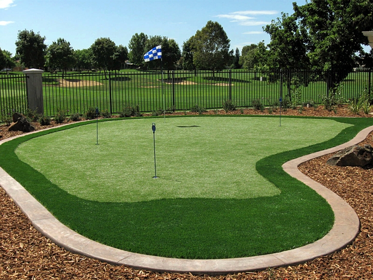 Artificial Turf Redlands, California Lawn And Garden, Backyard Landscape Ideas