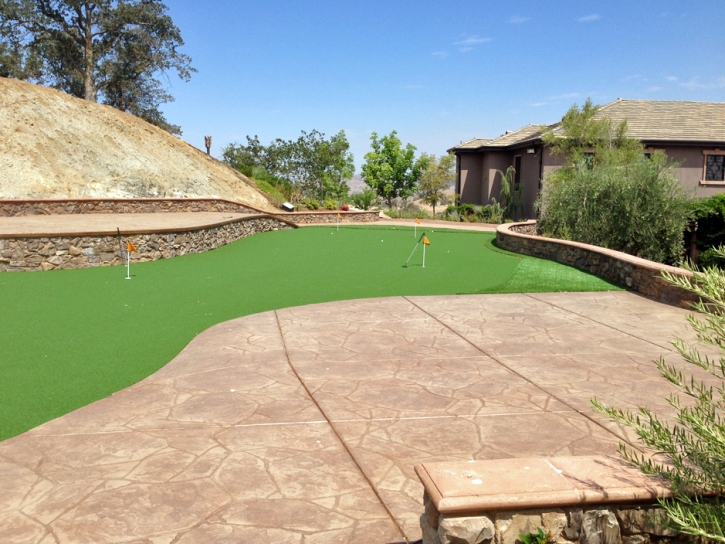 Artificial Turf Redondo Beach, California Indoor Putting Greens, Backyard Landscape Ideas