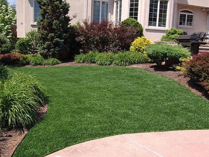 Artificial Turf San Pedro, California Landscaping Business, Front Yard Landscape Ideas