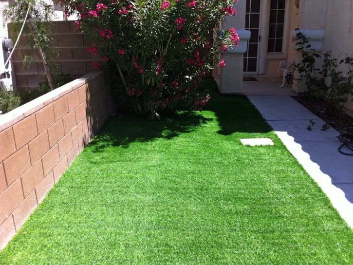 Artificial Turf Smith Corner, California Backyard Playground, Front Yard Landscaping Ideas