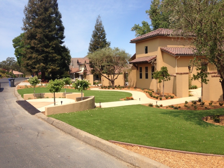 Best Artificial Grass La Palma, California Landscape Photos, Front Yard Landscaping Ideas