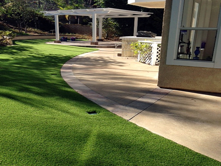 Best Artificial Grass Mayflower Village, California Grass For Dogs, Front Yard Design