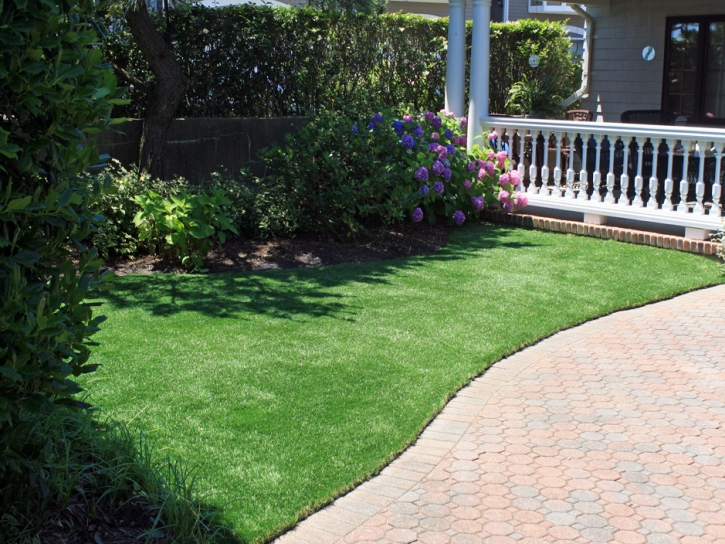 Best Artificial Grass Pine Mountain Club, California Gardeners, Front Yard Landscaping Ideas