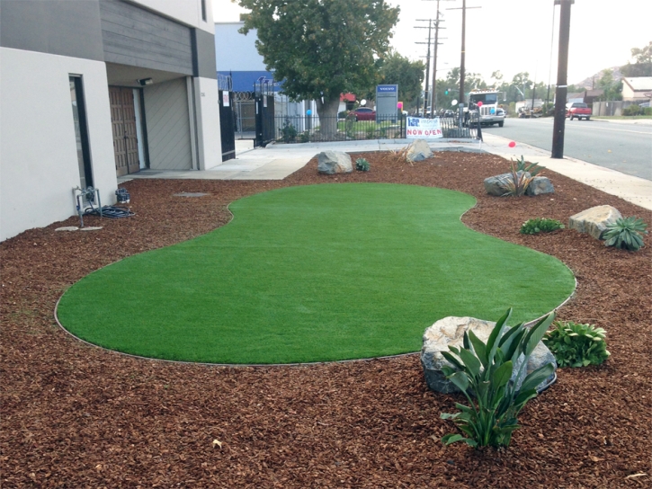 Best Artificial Grass Walnut, California Landscape Ideas, Commercial Landscape