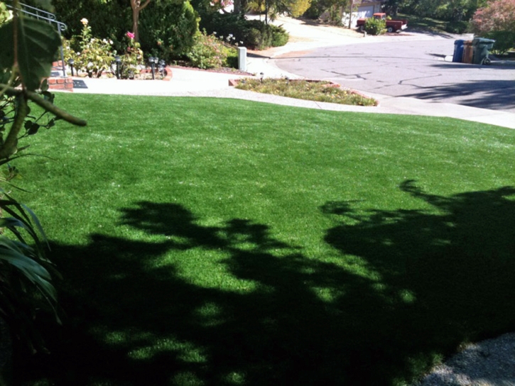 Fake Grass Bell Gardens, California Paver Patio, Small Front Yard Landscaping