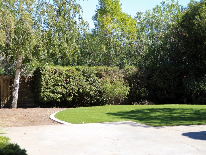 Fake Grass Carpet Chatsworth, California Home And Garden, Backyard Landscape Ideas