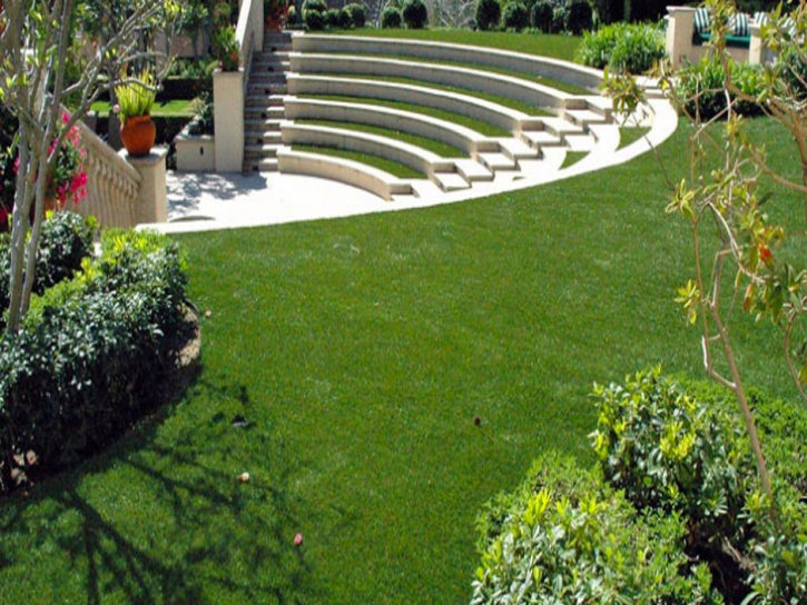 Fake Grass Carpet Dustin Acres, California Backyard Deck Ideas