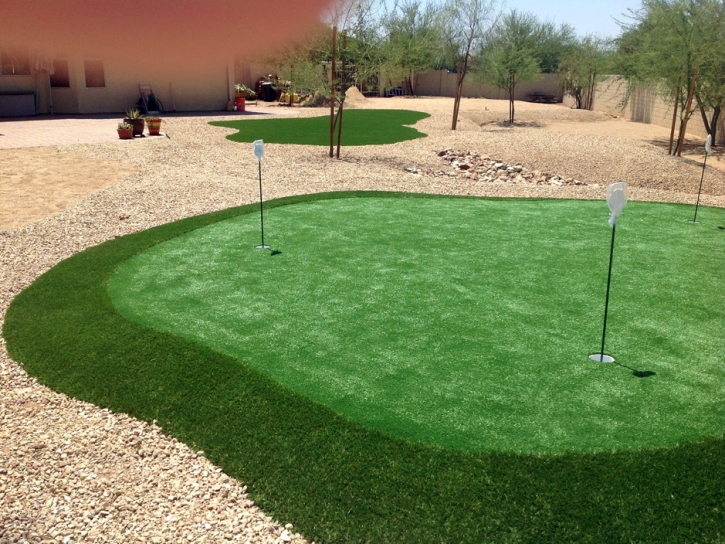 Fake Grass Carpet North Hollywood, California Putting Greens, Backyard Landscaping