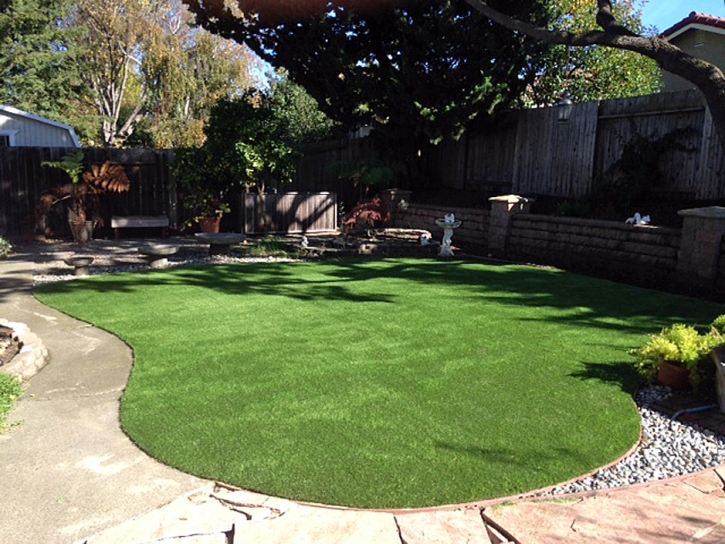 Fake Grass Carpet Quail Valley, California Lawn And Garden, Beautiful Backyards