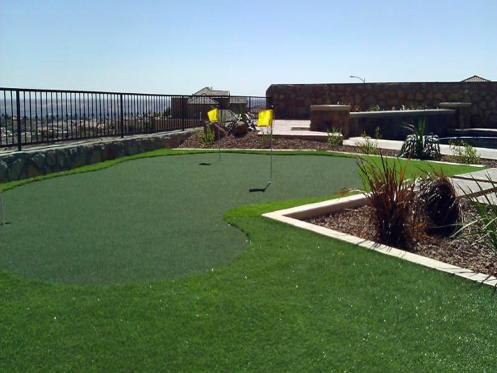 Fake Grass Carpet Redondo Beach, California Garden Ideas