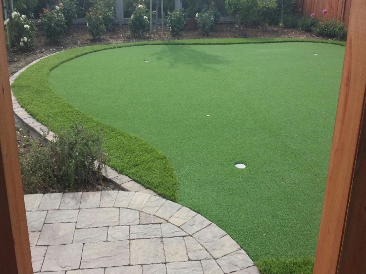 Fake Grass Carpet Santa Fe Springs, California Best Indoor Putting Green, Backyard Ideas