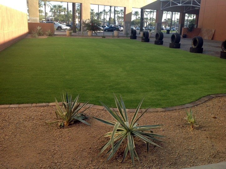 Fake Grass Carpet Santa Monica, California Landscape Photos, Commercial Landscape