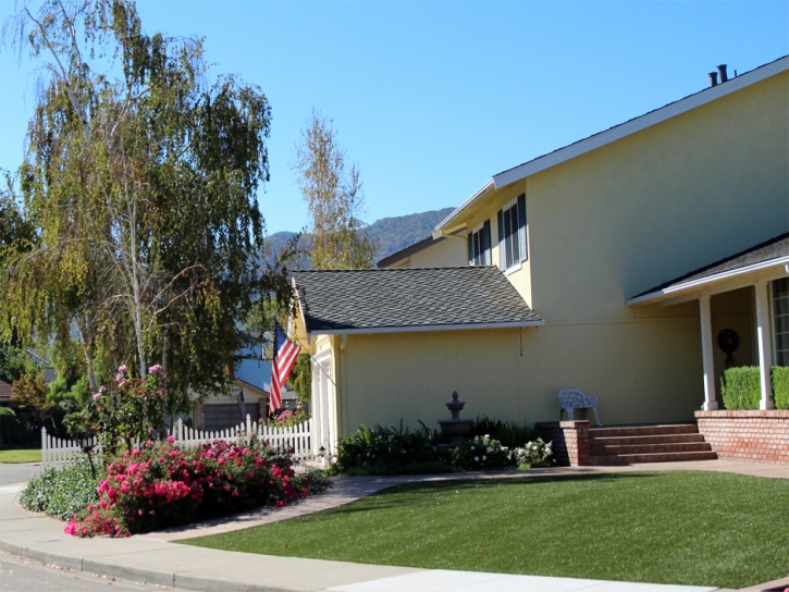 Fake Grass Carpet Summerland, California Backyard Playground, Small Front Yard Landscaping