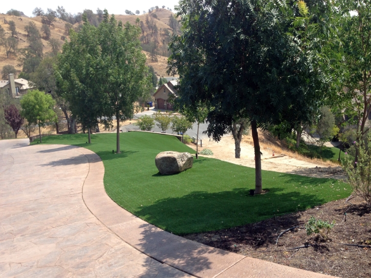 Fake Grass Carpet Whittier, California Lawn And Garden, Landscaping Ideas For Front Yard