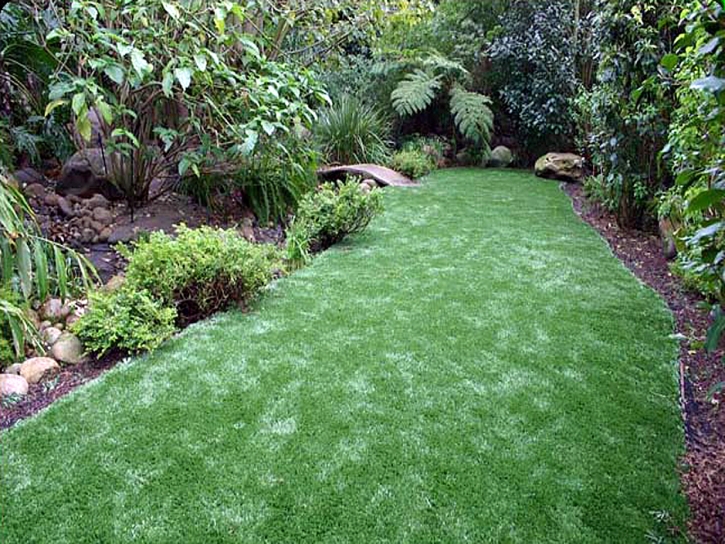 Fake Grass Creston, California Garden Ideas, Backyard Ideas