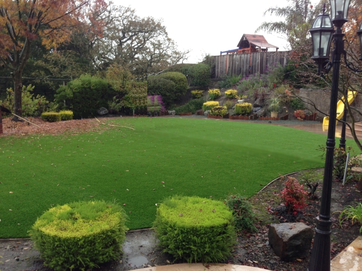 Fake Grass Los Olivos, California Paver Patio, Backyard Ideas