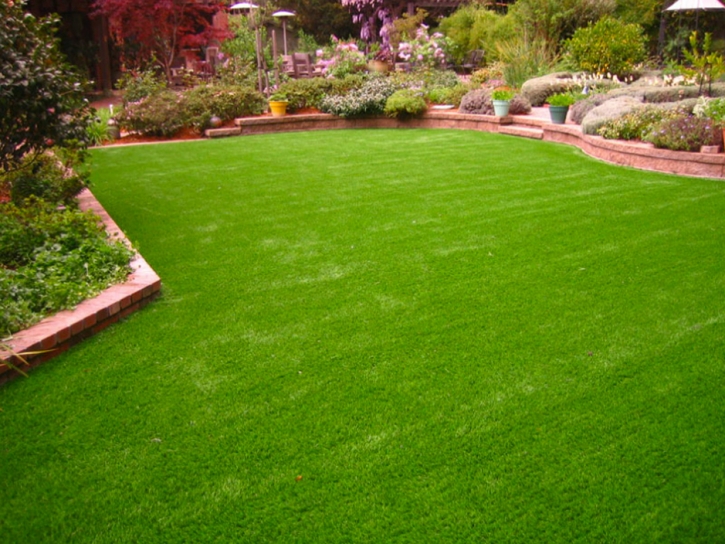 Fake Grass Oxnard, California Garden Ideas, Backyard