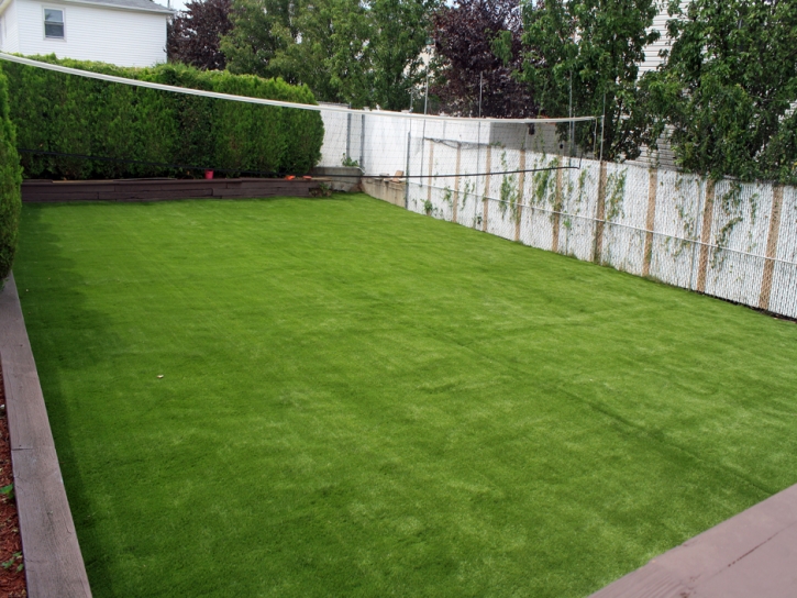 Fake Grass Placentia, California Landscaping Business, Beautiful Backyards