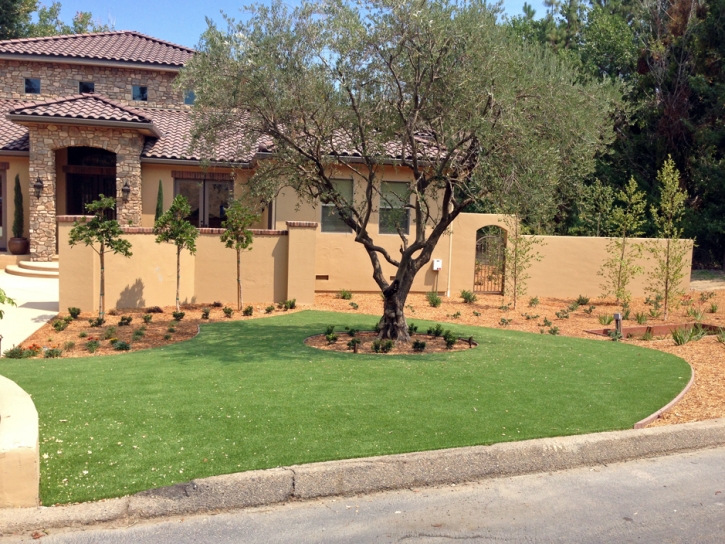 Fake Grass South Whittier, California Roof Top, Front Yard Landscaping