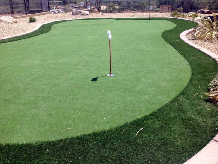 Fake Grass Woodland Hills, California City Landscape, Backyard Landscaping