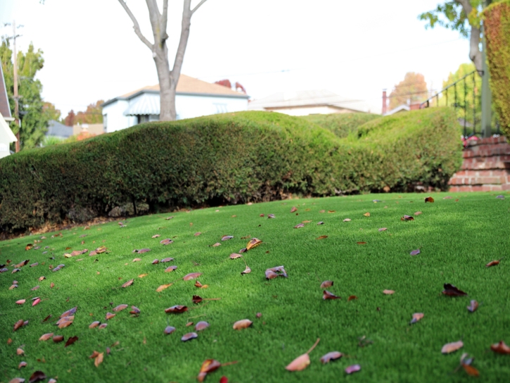 Fake Lawn Bakersfield, California Lawns, Front Yard Ideas