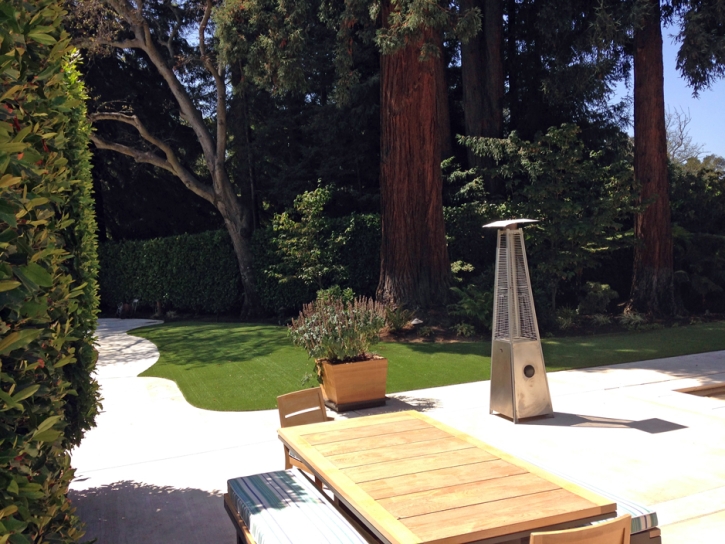 Fake Lawn Carson, California Design Ideas, Backyard Ideas