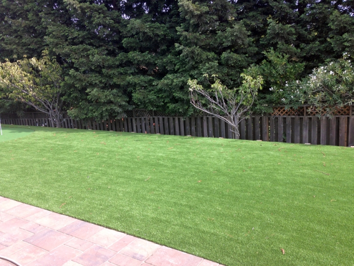 Fake Lawn Manhattan Beach, California Design Ideas, Backyard Design