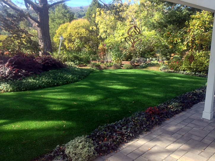 Fake Lawn Monrovia, California Landscape Rock, Backyard