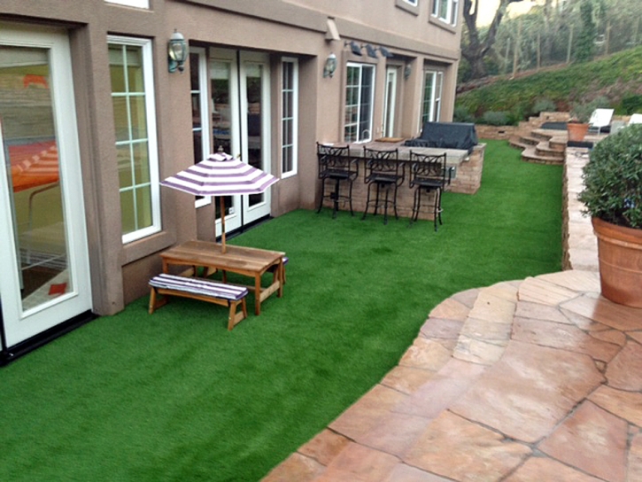 Fake Lawn Panorama Heights, California Roof Top, Backyard Landscape Ideas