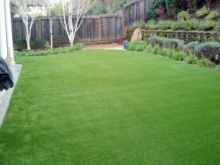 Fake Lawn Wrightwood, California Roof Top, Backyard Ideas