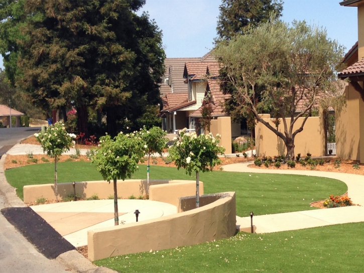 Fake Turf Alpaugh, California Lawn And Landscape, Front Yard