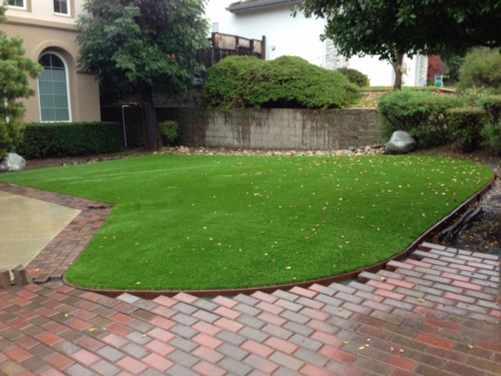 Fake Turf Charter Oak, California Gardeners, Front Yard Landscape Ideas