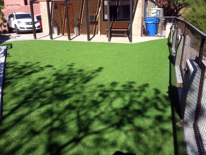 Fake Turf Earlimart, California City Landscape, Backyard Landscaping