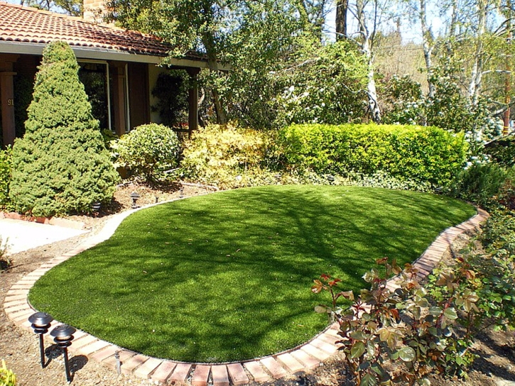 Fake Turf Laguna Niguel, California Gardeners, Small Backyard Ideas