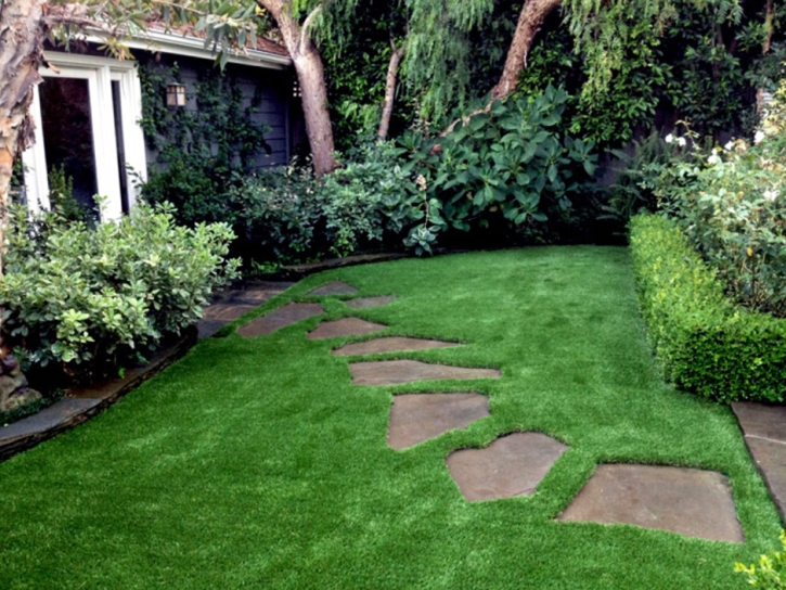 Fake Turf South San Jose Hills, California Lawn And Landscape, Backyard Landscaping