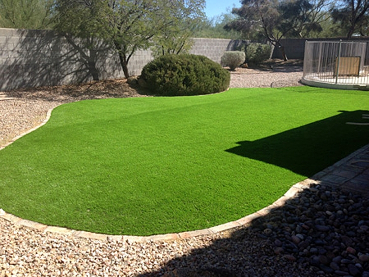 Fake Turf Temple City, California Design Ideas, Beautiful Backyards