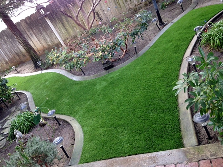 Fake Turf Wildomar, California Rooftop, Backyard Design