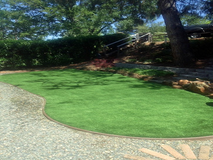 Faux Grass Bradbury, California Garden Ideas, Backyard Landscaping