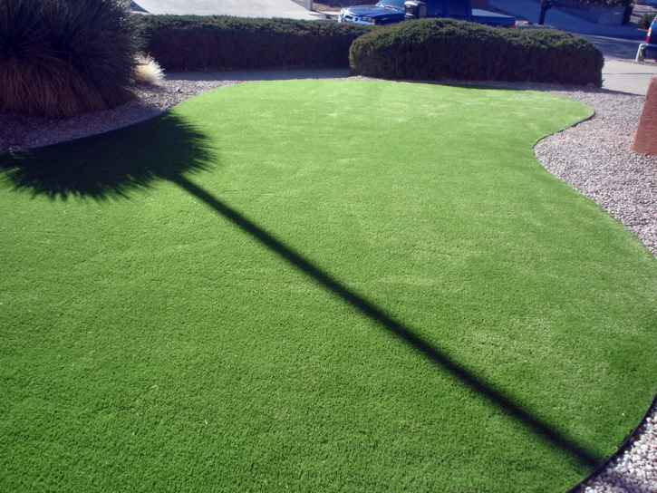 Faux Grass Huntington Beach, California Backyard Deck Ideas, Front Yard Design