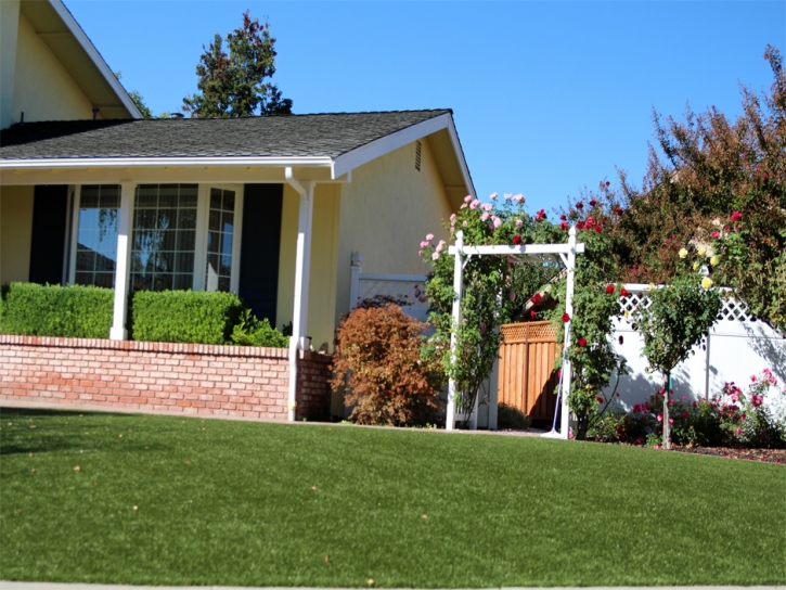 Faux Grass Simi Valley, California Lawn And Garden, Front Yard Landscaping