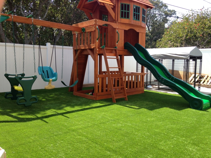 Faux Grass Sisquoc, California Home And Garden, Backyard Ideas