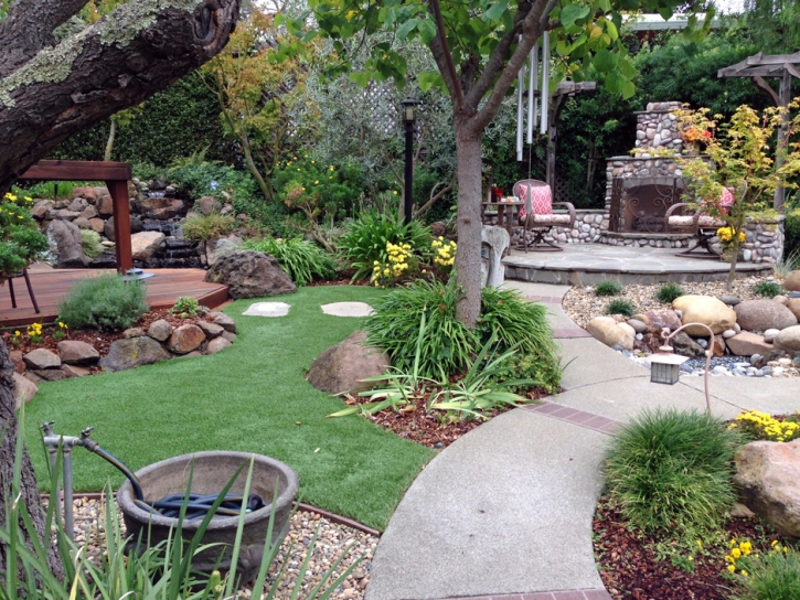 Faux Grass Stanton, California Landscape Photos, Backyard Landscape Ideas