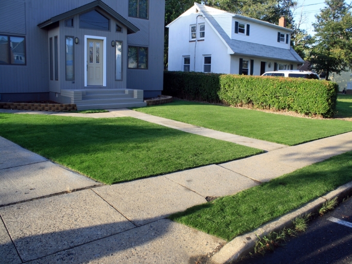 Faux Grass Taft, California Landscape Design, Front Yard Landscaping Ideas