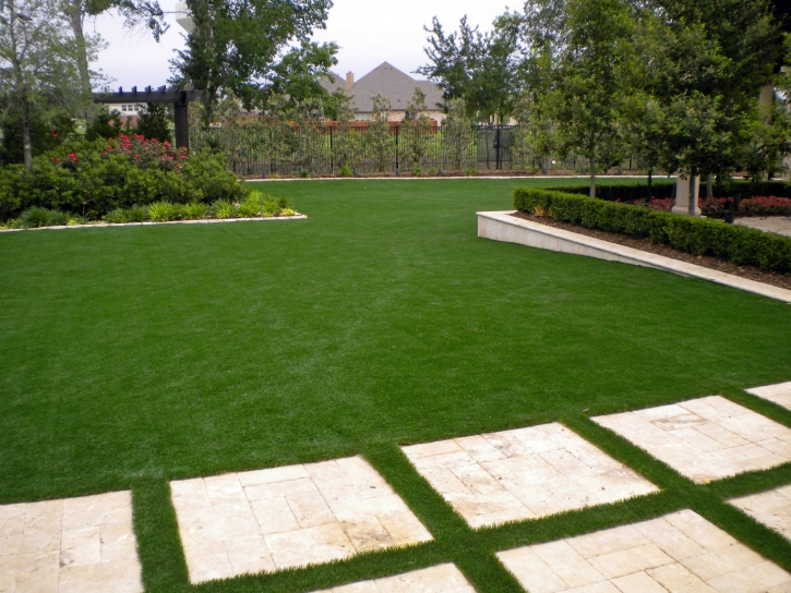 Faux Grass Westwood, California Lawns, Backyard Designs